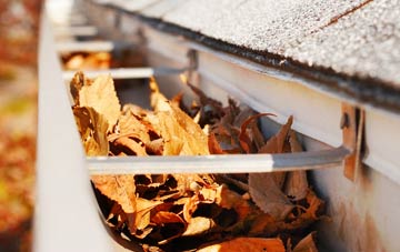 Sutton Green gutter cleaning companies
